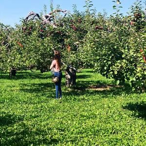 Meet your Posher, Nikole